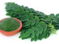 Close up of moringa leaves over white background